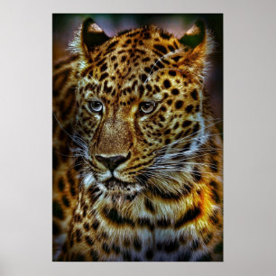 KATZE-301154 WILD GROSSE KATZLEOPARD-TIERFOTOGRAFI POSTER
