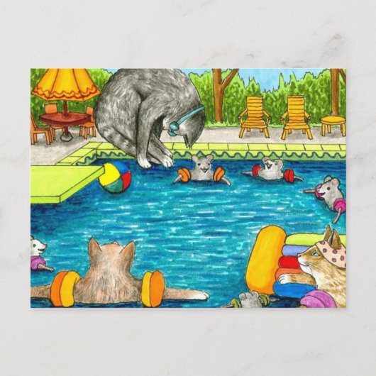 Katze 383 postkarte (Vorderseite)