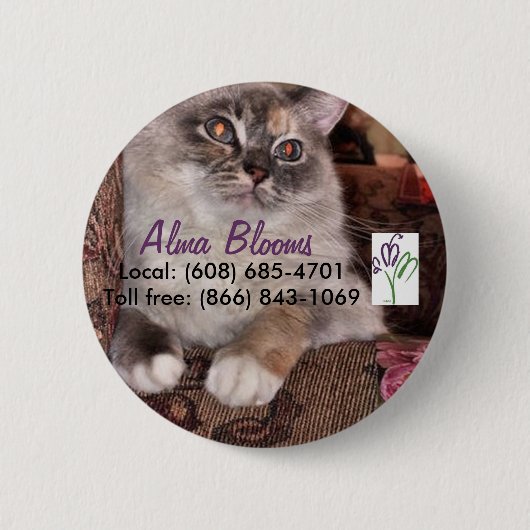 Katze 3 button (Vorderseite)