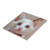 Katze 3 fliese (Seite)