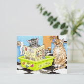 Katze 464 Postkarte (Stehend Vorderseite)
