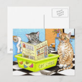Katze 464 Postkarte (Vorne/Hinten)