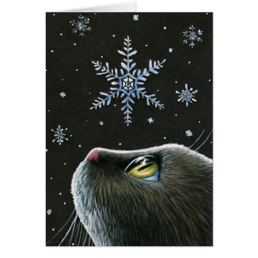 Katze 532 Schneeflocken (Vorne)