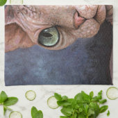 Katze 578 Sphynx Geschirrtuch (Gefaltet)