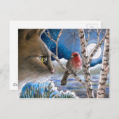 Katze 600 Vögel Postkarte (Vorne/Hinten)