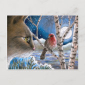 Katze 600 Vögel Postkarte (Vorderseite)