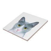 Katze 611, graue Katze Fliese (Seite)