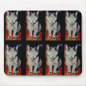 Katze #6, Mousepad (Vorne)