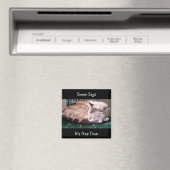 Katze 7, Es ist Nickerchen Zeit, sagt Simon, Magne Magnet (In Situ (Geschirrspüler))