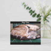 Katze 7, Nickerchen Zeit, Postkarte (Stehend Vorderseite)