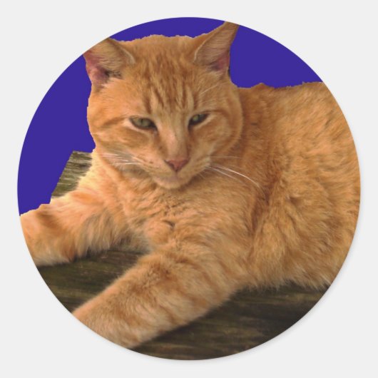 Katze 8, Aufkleber (Vorderseite)