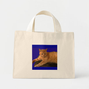 Katze 8, Tasche