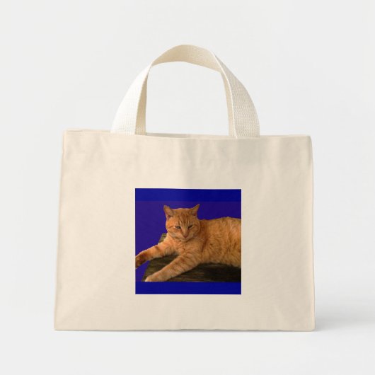 Katze 8, Tasche (Vorne)