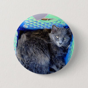 Katze 9, Schaltfläche Button