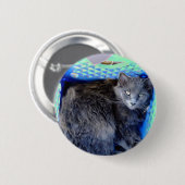 Katze 9, Schaltfläche Button (Vorne & Hinten)