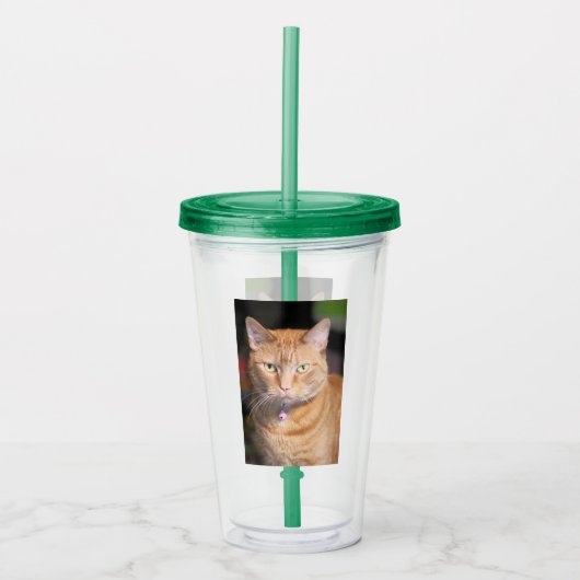 Katze Acryltrinkbecher (Vorderseite)