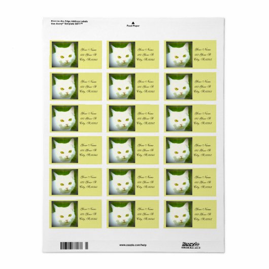 Katze Adressaufkleber (Vorne)