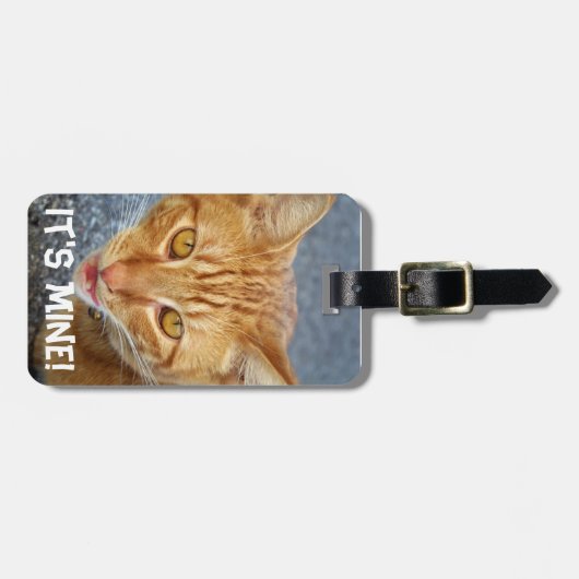 Katze Alart!_ Gepäckanhänger (Vorderseite horizontal)