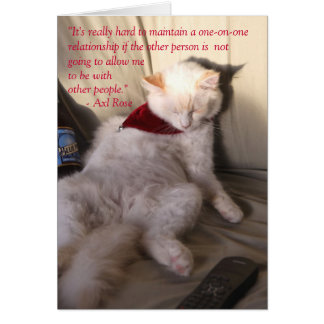 Katze als Axl-Rose über Monogamie: