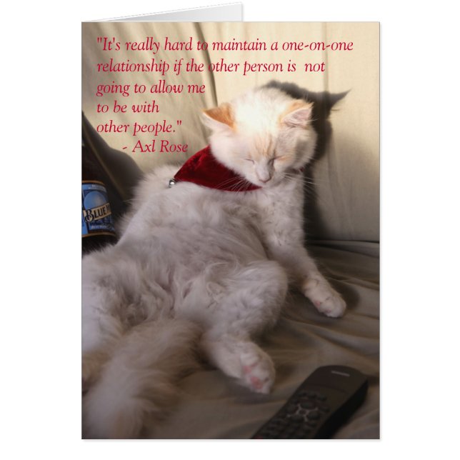 Katze als Axl-Rose über Monogamie: (Vorne)