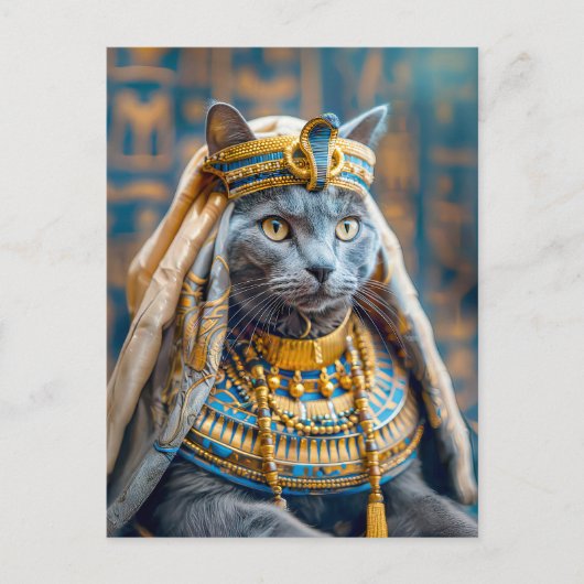Katze als Pharaoh Queen verkleidet Postkarte (Vorderseite)