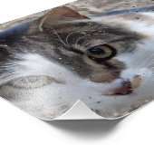 Katze am Fenster Fotodruck (Ecke)