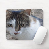 Katze am Fenster Mousepad (Mit Mouse)