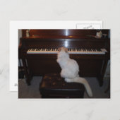 Katze am Klavier Postkarte (Vorne/Hinten)