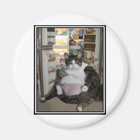 KATZE AM KÜHLSCHRANK MAGNET (Vorne)
