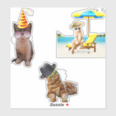 Katze am Strand Aufkleber (Blatt)