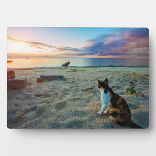 Katze am Strand Fotoplatte (Vorderseite)