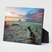 Katze am Strand Fotoplatte (Seite)