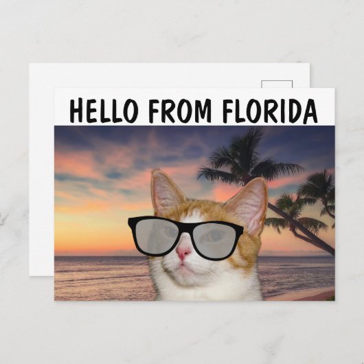KATZE AM STRAND HELLO VON FLORIDA Postkarten (Vorne/Hinten)