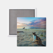 Katze am Strand Magnet (Vorderseite/Rückseite)