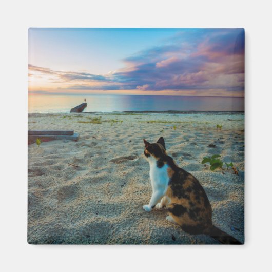 Katze am Strand Magnet (Vorne)