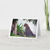 Katze am Strand Portrait Karte (Vorderseite)