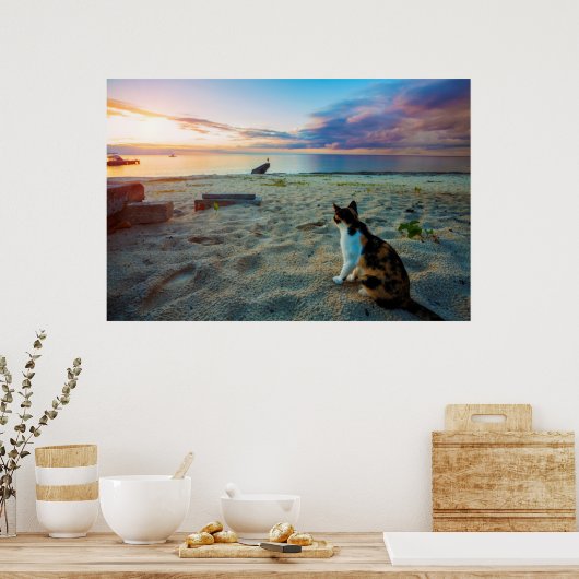 Katze am Strand Poster (Küche)