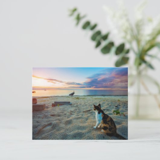 Katze am Strand Postkarte (Stehend Vorderseite)