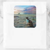 Katze am Strand Quadratischer Aufkleber (Tasche)