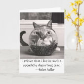 Katze an den Fischen rollen, ich sich freuen, dass Karte (Gelbe Blume)