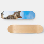 Katze an der Wand Skateboard (Horizontal)
