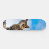 Katze an der Wand Skateboard (Horizontal)