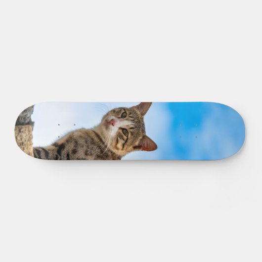 Katze an der Wand Skateboard (Horizontal)