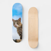 Katze an der Wand Skateboard (Vorderseite)