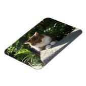 Katze an einer Wand Magnet (Linke Seite)