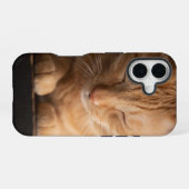 Katze Apple Iphone 16 Hülle (Rückseite (Horizontal))