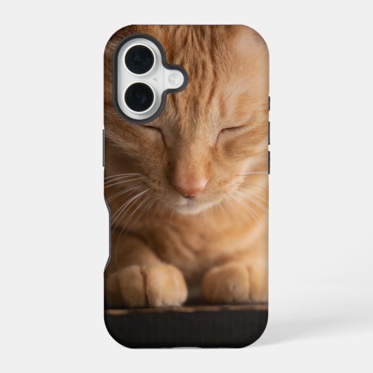 Katze Apple Iphone 16 Hülle (Rückseite)