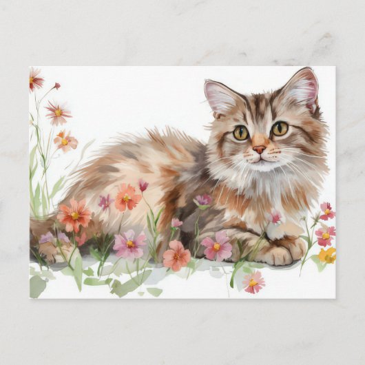 Katze Aquarell Postkarte (Vorderseite)