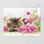 Katze Aquarell Postkarte (Vorderseite)
