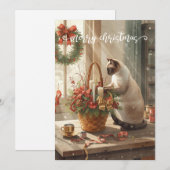 Katze arrangiert Winterblumen für Weihnachten (Vorne/Hinten)